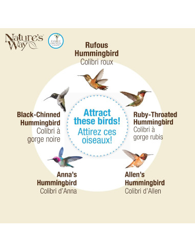 Alimentador de colibríes de vidrio Nature's Way Ramo de Gardenia