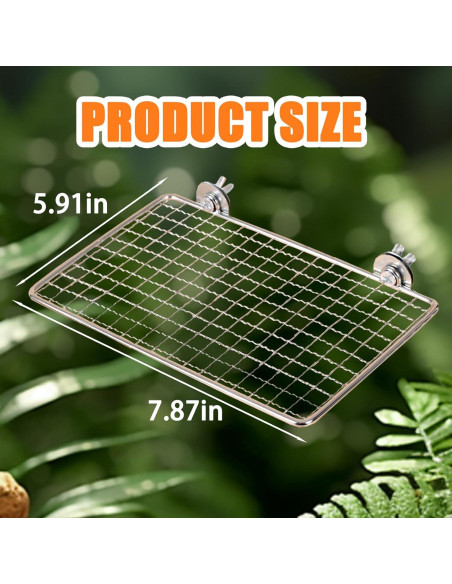 Plataforma para Periquitos RRQKMBO 20x15cm Acero Inoxidable