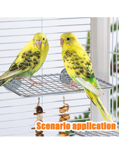 Plataforma para Periquitos RRQKMBO 20x15cm Acero Inoxidable