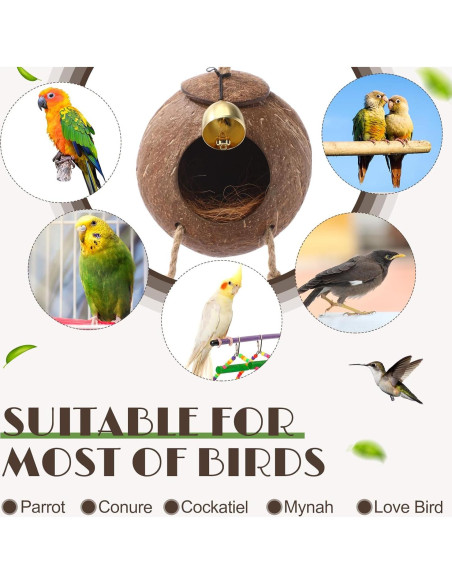 Nido de Coco Natural para Aves Briwooody con Escaleras y Campana