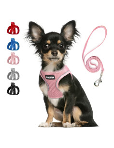 Arnés y Correa PetiFine para Perros Pequeños Transpirable XS Rosa