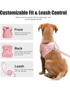 Arnés y Correa PetiFine para Perros Pequeños Transpirable XS Rosa 2