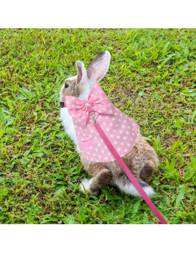 Arnés y Correa para Conejos Disfraz Lunares Rosa Talla M