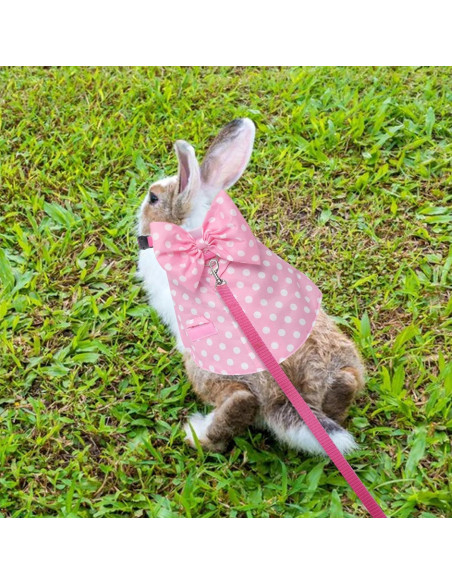 Arnés y Correa para Conejos Disfraz Lunares Rosa Talla M