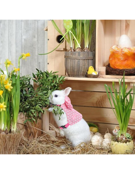 Arnés y Correa para Conejos Disfraz Lunares Rosa Talla M