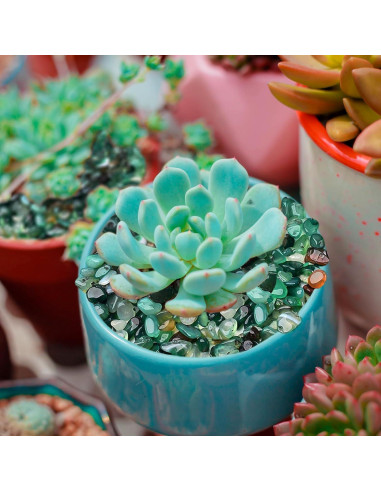 Guijarros Verdes Halatool 2.2kg para Acuarios y Jardinería