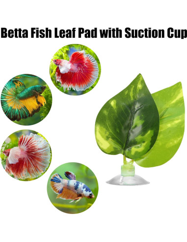 2 Piezas Almohadilla de Hoja Verde Luhaomisky para Betta
