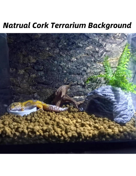Fondo de Corteza de Corcho Natural 2PCS 40x30cm para Reptiles
