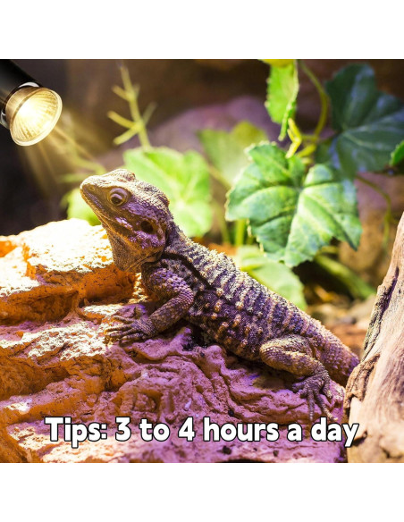 Lámpara de Calor UVA UVB 50W REPTI HOME para Reptiles 4P Lámpara de Calor UVA UVB 50W REPTI HOME para Reptiles 4P