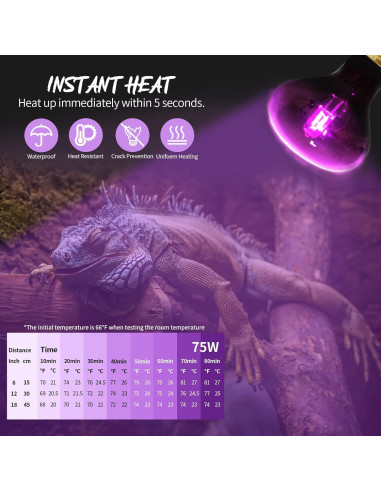 Lámpara de Calor Nocturna 100W FIVEAGE para Reptiles - Paquete de 2