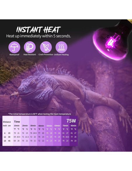 Lámpara de Calor Nocturna 100W FIVEAGE para Reptiles - Paquete de 2