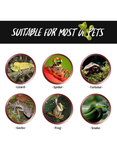 Lámpara de Calor Nocturna 100W FIVEAGE para Reptiles - Paquete de 2