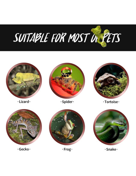 Lámpara de Calor Nocturna 100W FIVEAGE para Reptiles - Paquete de 2