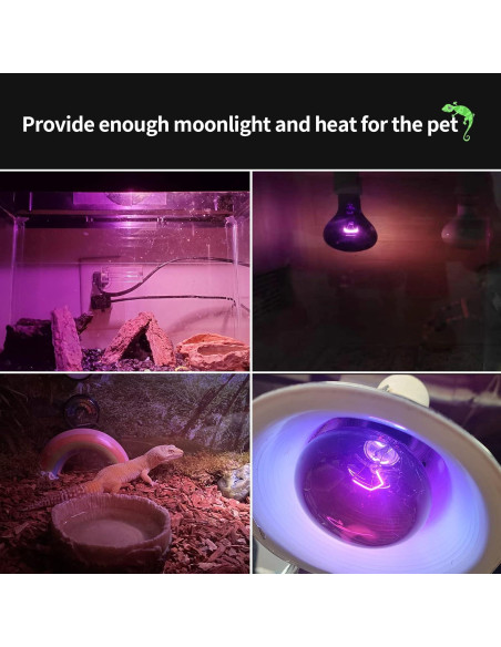 Lámpara de Calor Nocturna 100W FIVEAGE para Reptiles - Paquete de 2