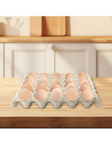 20 Bandejas de Huevos KOHAND 30x30cm Pulpa Grises Blancas