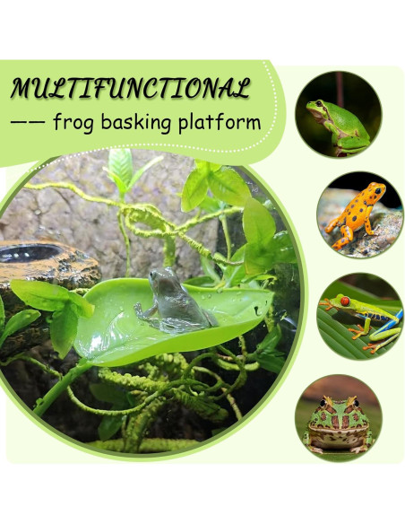 Plataforma de Sol para Tortugas JJMOLLE - 3 Piezas Verde