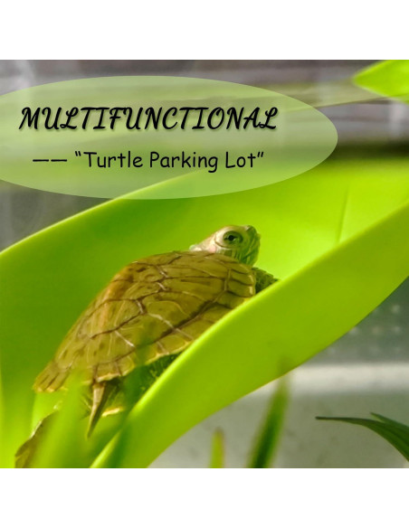 Plataforma de Sol para Tortugas JJMOLLE - 3 Piezas Verde