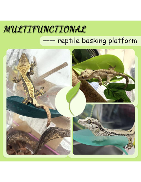 Plataforma de Sol para Tortugas JJMOLLE - 3 Piezas Verde