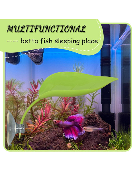 Plataforma de Sol para Tortugas JJMOLLE - 3 Piezas Verde