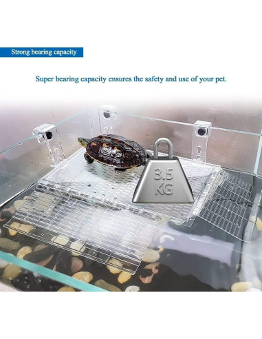 Plataforma de Sol Bañera para Tortugas AnRui Acrílico Grande