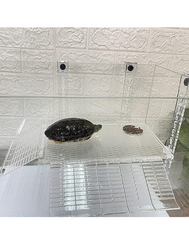 Plataforma de Sol Bañera para Tortugas AnRui Acrílico Grande