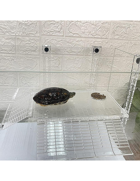 Plataforma de Sol Bañera para Tortugas AnRui Acrílico Grande