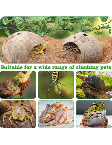 Accesorios para Terrario QUOZUO - Vides y Escondites para Reptiles