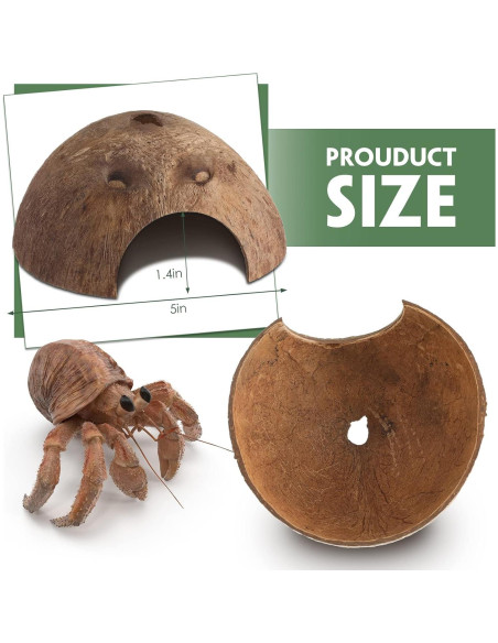 6 Refugios de Coco para Reptiles Woanger - Escondites Naturales 12.7 cm