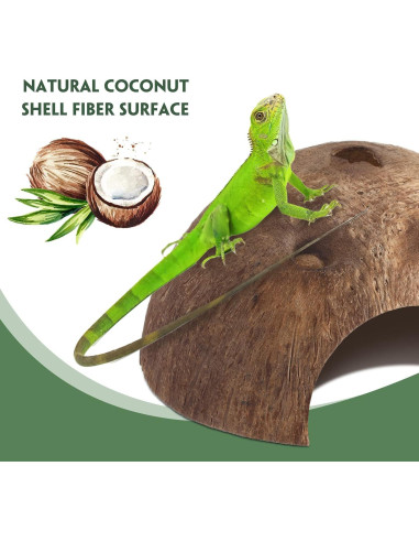 6 Refugios de Coco para Reptiles Woanger - Escondites Naturales 12.7 cm