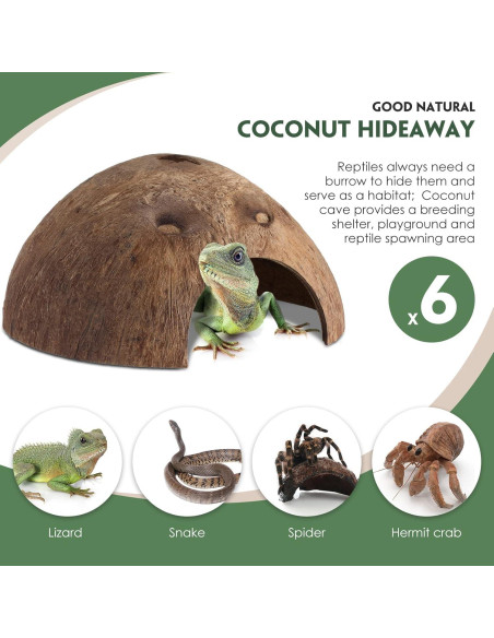 6 Refugios de Coco para Reptiles Woanger - Escondites Naturales 12.7 cm