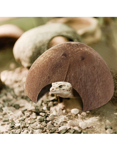 6 Refugios de Coco para Reptiles Woanger - Escondites Naturales 12.7 cm