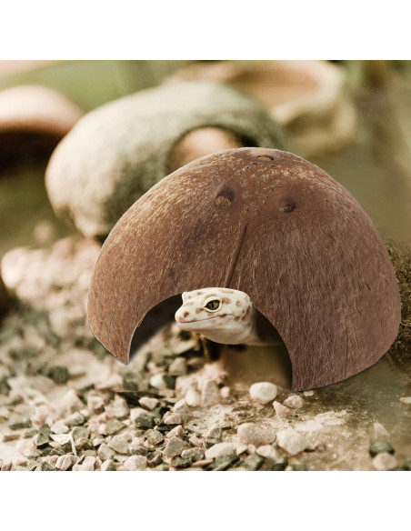 6 Refugios de Coco para Reptiles Woanger - Escondites Naturales 12.7 cm