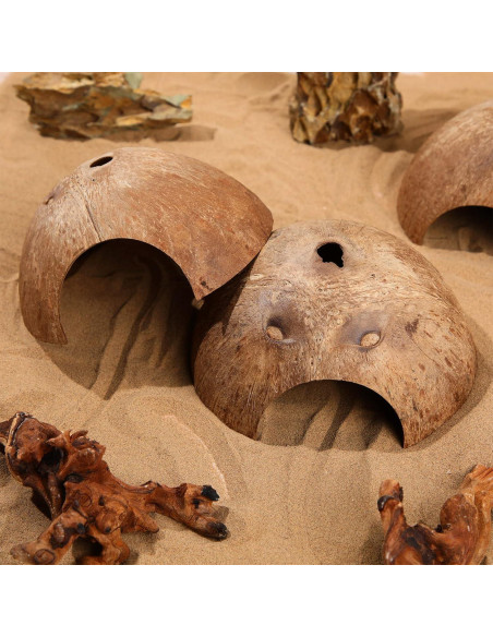 6 Refugios de Coco para Reptiles Woanger - Escondites Naturales 12.7 cm