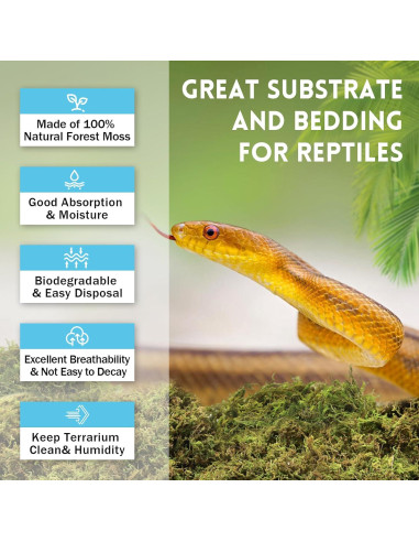 Musgo Sphagnum Premium Riare 198 g para Reptiles y Terrarios