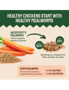 Gusanos de Harina Secos Hatortempt 4.54 kg - Alimento Proteico para Aves 2