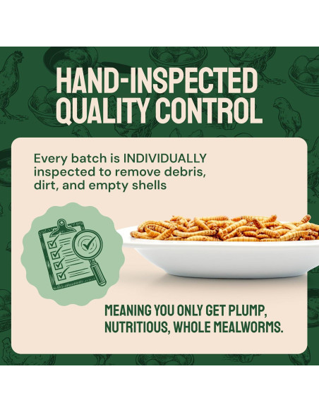 Gusanos de Harina Secos Hatortempt 4.54 kg - Alimento Proteico para Aves