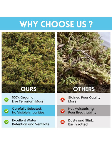 Musgo Sphagnum Premium Riare 198 g para Reptiles y Terrarios
