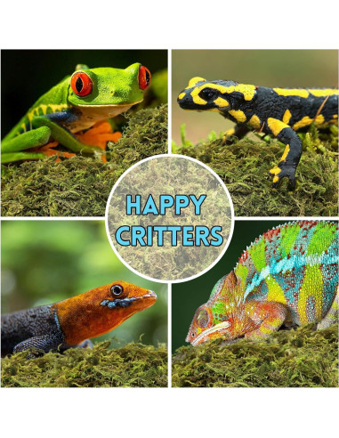 Musgo Sphagnum Premium Riare 198 g para Reptiles y Terrarios