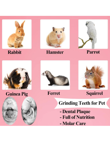 Juguetes para Roer Grddaef para Conejos y Hámsters - Paquete de 2