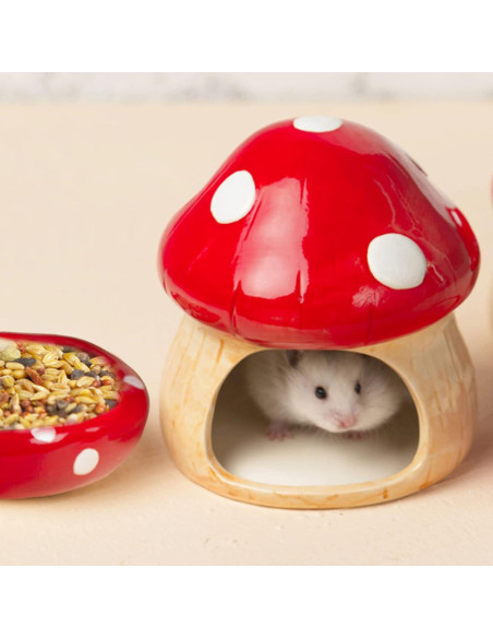 Casa de Cerámica en Forma de Hongo para Hámster y Cobayas