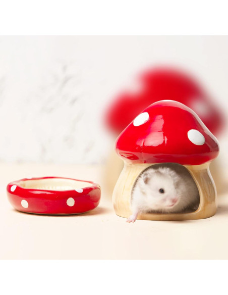 Casa de Cerámica en Forma de Hongo para Hámster y Cobayas