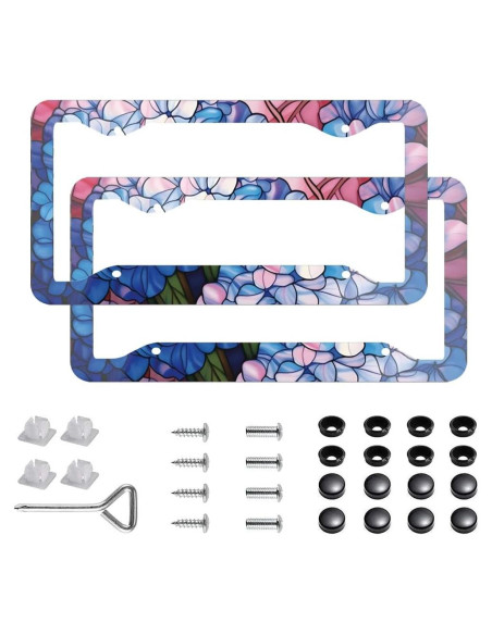 Paquete de 2 Marcos de Placa de Licencia Floral LYUQAPZ