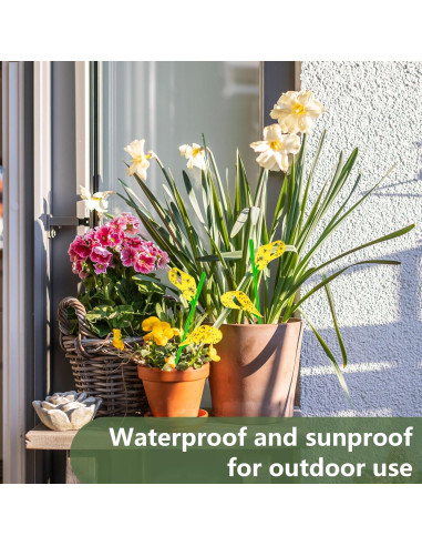 60 Trampas Adhesivas Amarillas PESTCON para Insectos Voladores