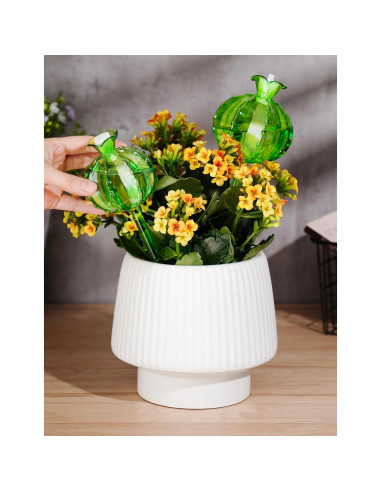 Esferas de Riego Automático NiHome 4-Pack Vidrio Verde