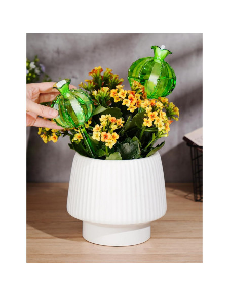 Esferas de Riego Automático NiHome 4-Pack Vidrio Verde