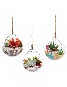 Contenedor de Terrario de Vidrio Colgante Ivolador 11.94cm - 3PCS