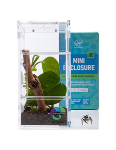 Recinto para Araña Saltadora EctoTherm 7.6x7.6x15.2cm