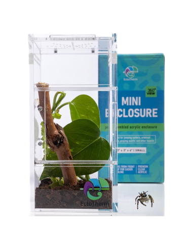 Recinto para Araña Saltadora EctoTherm 7.6x7.6x15.2cm