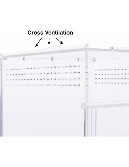 Recinto para Araña Saltadora EctoTherm 7.6x7.6x15.2cm