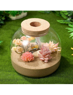 Tarro de Terrario de Vidrio Yardwe 15x15x13 cm para Plantas 2